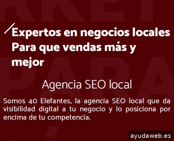 40 Elefantes - SEO y SEO local