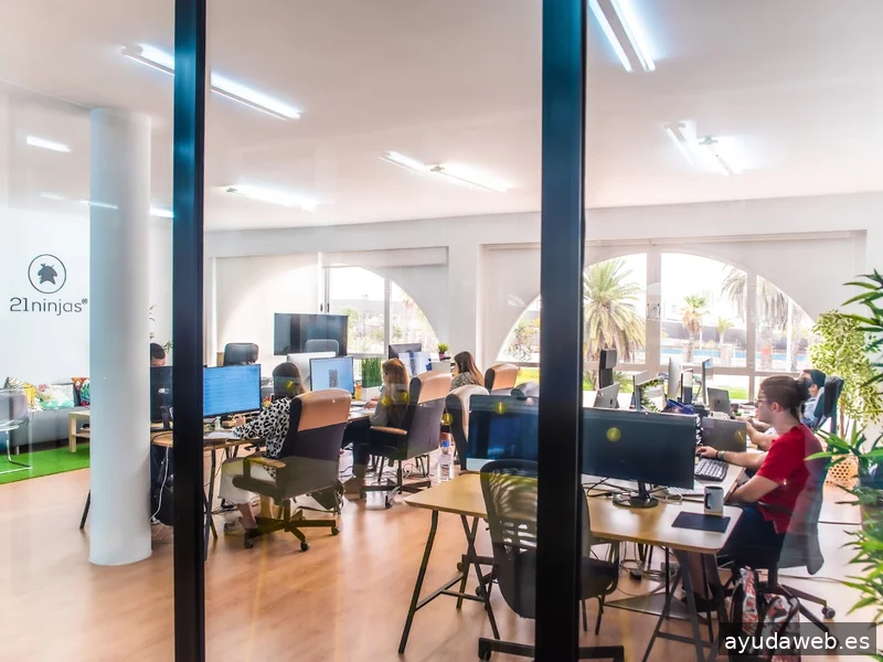 21ninjas- Agencia de Desarrollo, Diseño y Marketing Digital