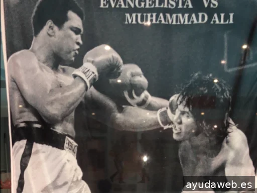 FLYBANDERAS -envíos gratis a toda España-