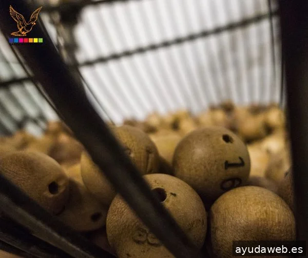 Gráficas La Paz Madrid ofrece servicios de imprenta, diseño gráfico y publicidad digital.