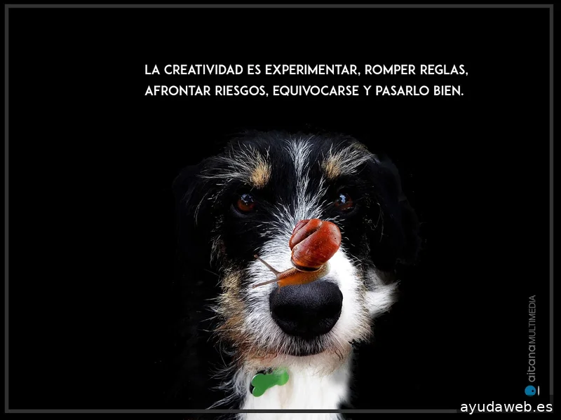 Aitana Multimedia, SL - Diseño de Páginas Web en Valencia