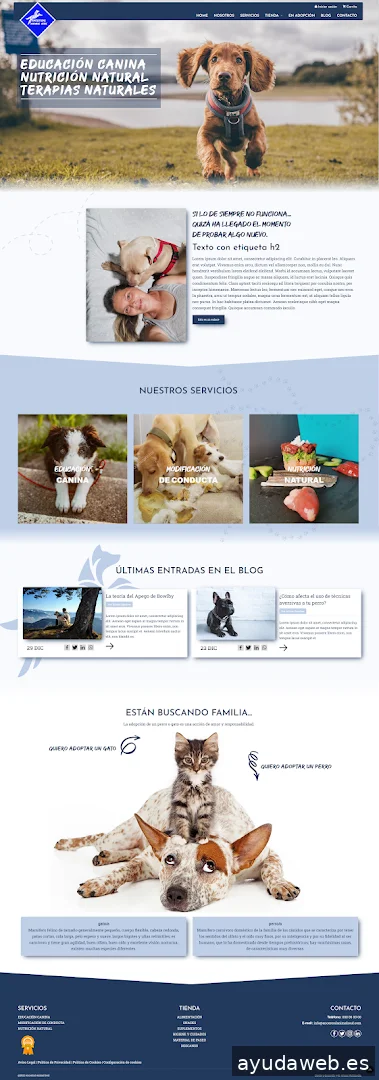 Aitana Multimedia, SL - Diseño de Páginas Web en Valencia