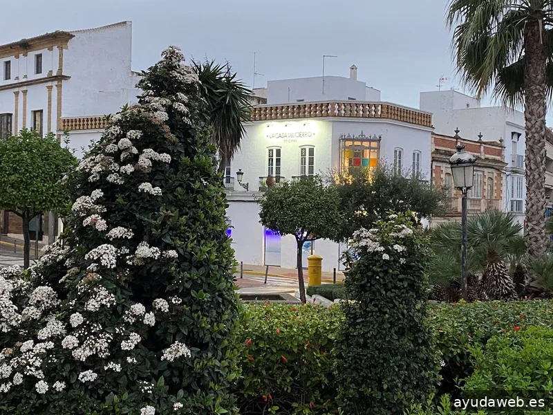 Desarrollamostuweb.com