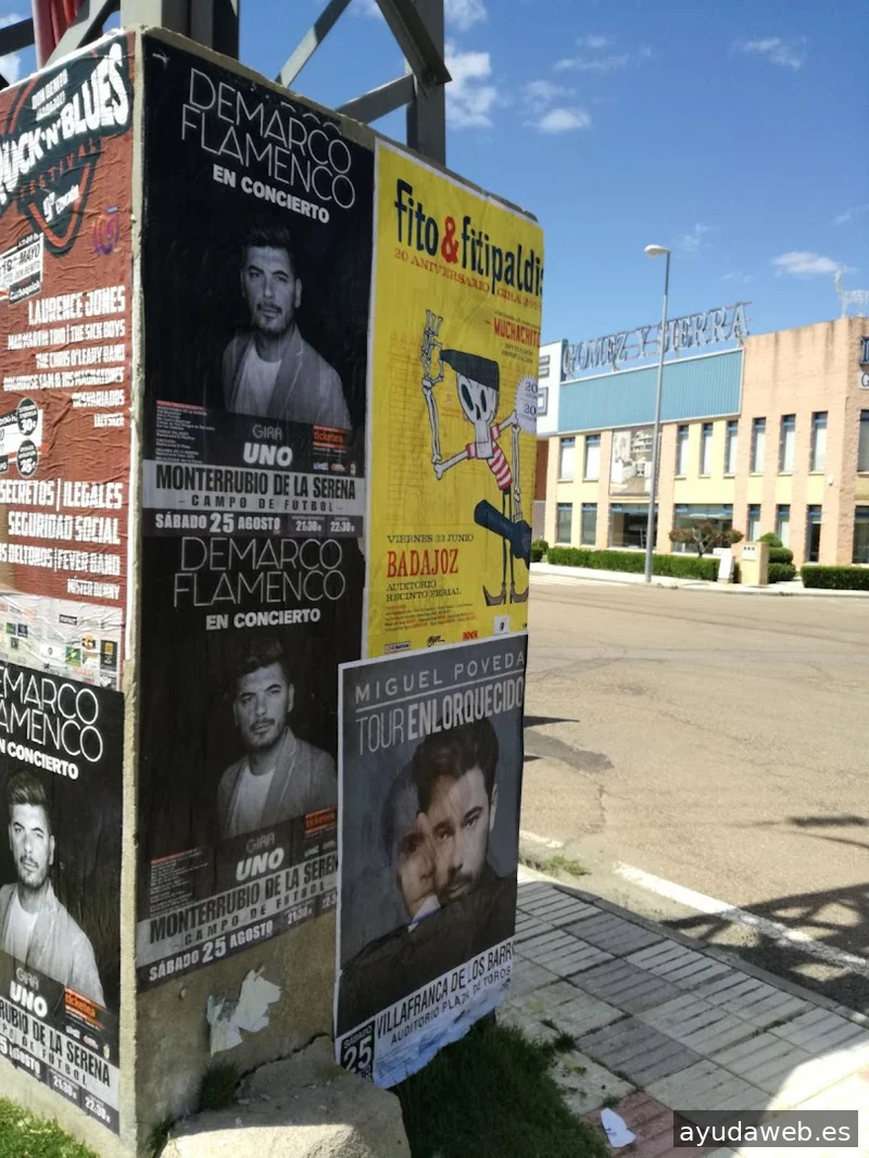 PUBLICOM DE DON BENITO SL