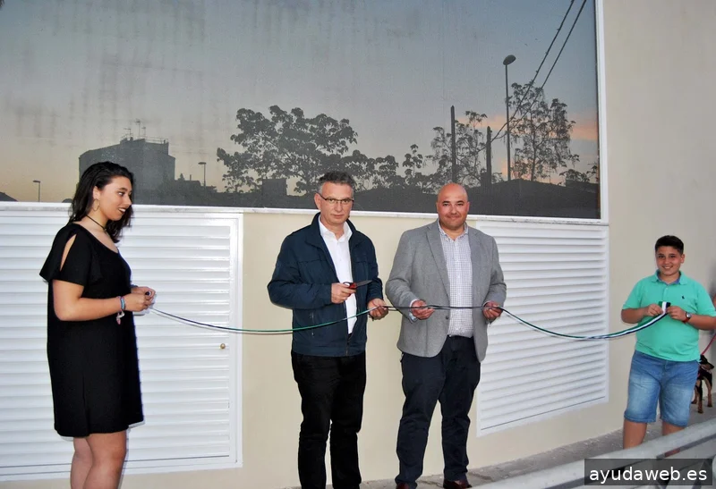 PUBLICOM DE DON BENITO SL