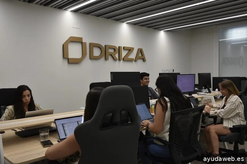 DRIZA - Consultoría Digital