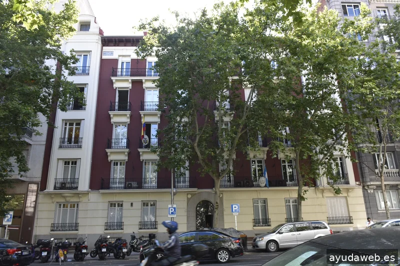 DRIZA - Consultoría Digital