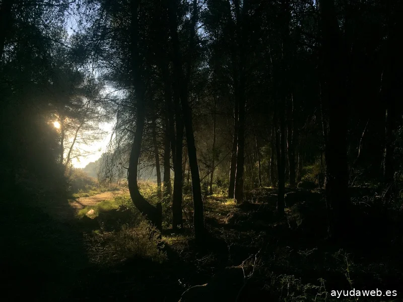 {Erretepé | Estudi de Creació}