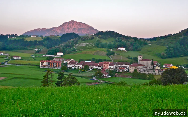 LaguntzaWeb Gipuzkoa