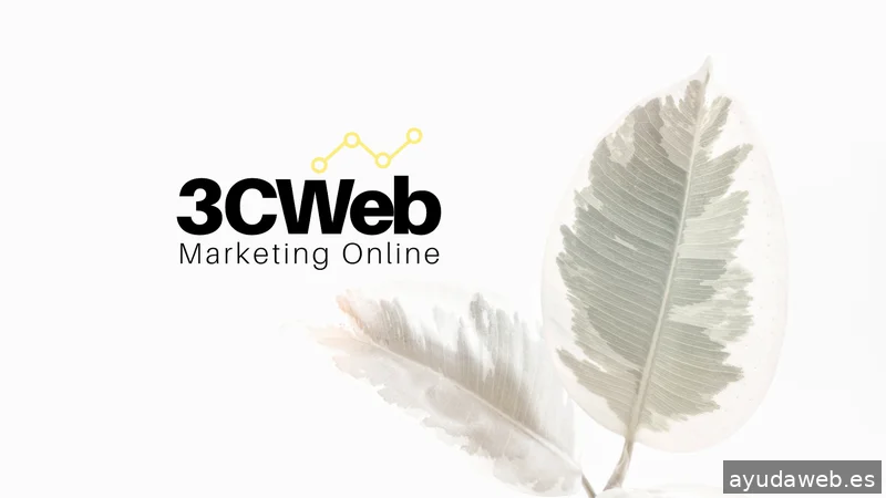 3CWeb Marketing