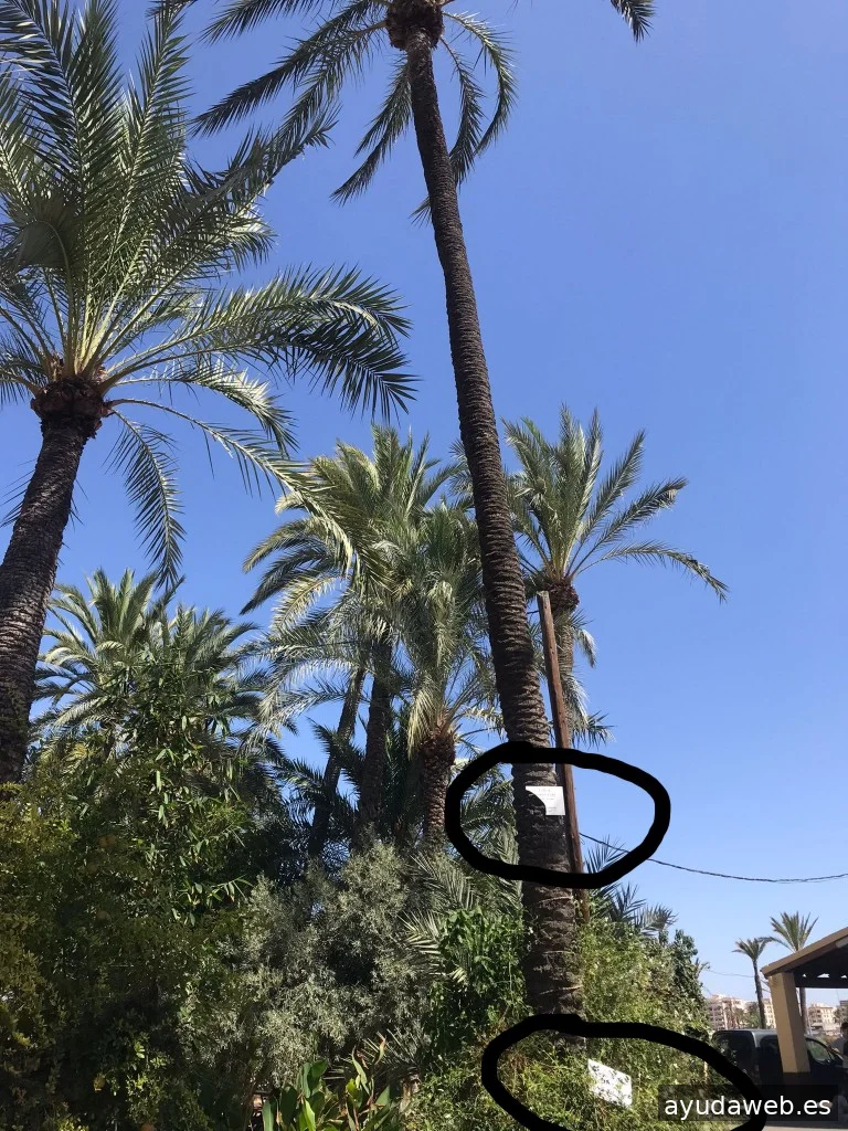 Grabado Impresiones Rótulos Rico Sogorb