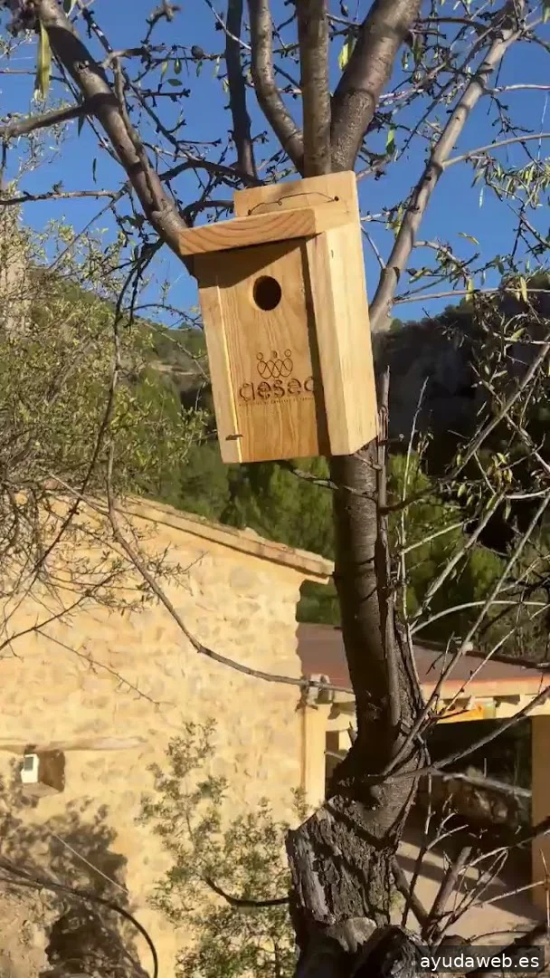 Grabado Impresiones Rótulos Rico Sogorb