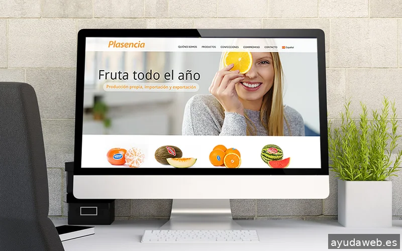 ANA CORBERA Diseño Gráfico y Web