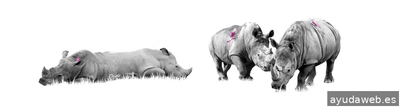 Aidearte ~ comunicación visual corporativa y diseño de packaging