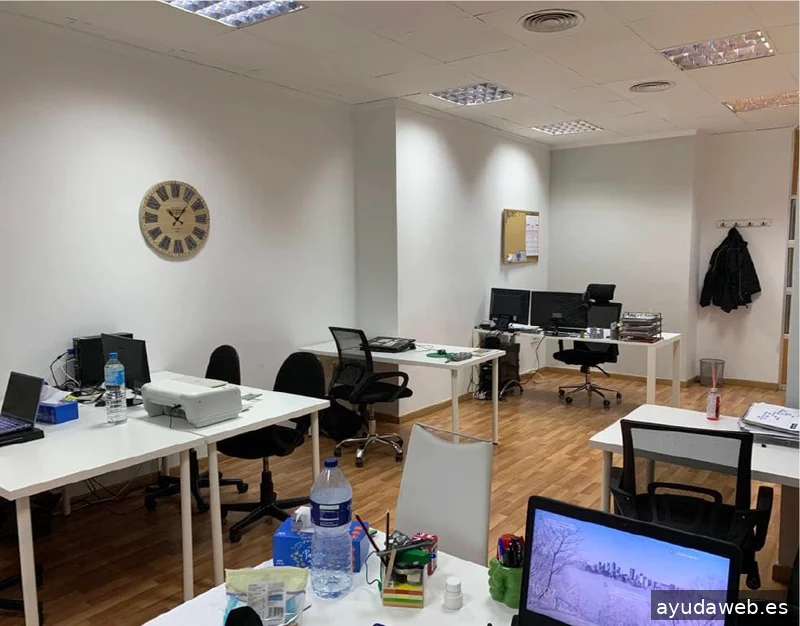 Consultor SEO en Valencia