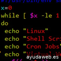 Informatico Roquetas Mestz