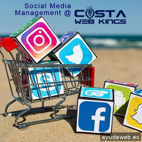 Costa Web Kings