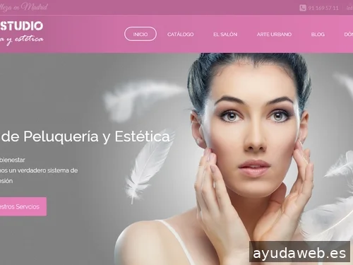 Web50