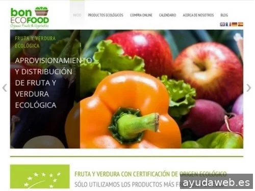 Web50