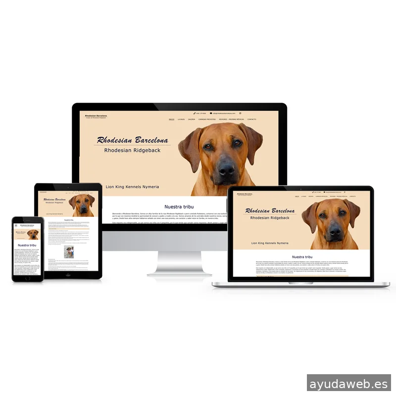 EMO sistemas, sl - Diseño web y programación | Diseño gráfico