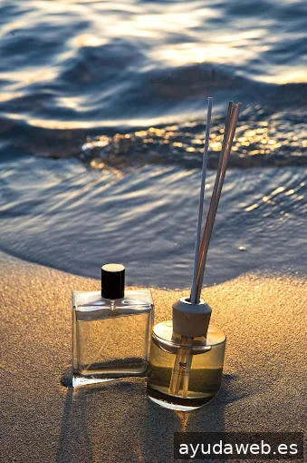 Marketing Olfativo | Ambiseint Ibiza - Formentera