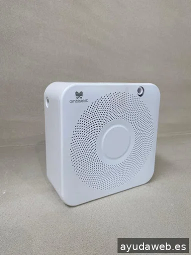 Marketing Olfativo | Ambiseint Ibiza - Formentera