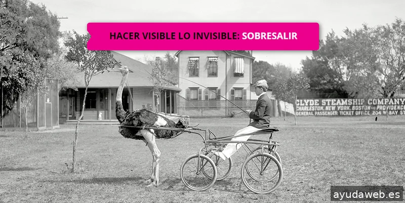 Tú Marcas la Diferencia | Consultoria de Marca Personal