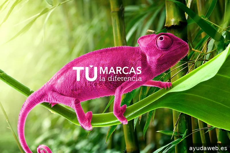 Tú Marcas la Diferencia | Consultoria de Marca Personal