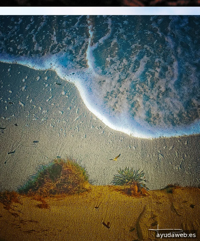 Tiago Reurer