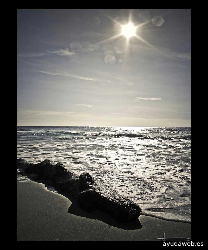 Tiago Reurer