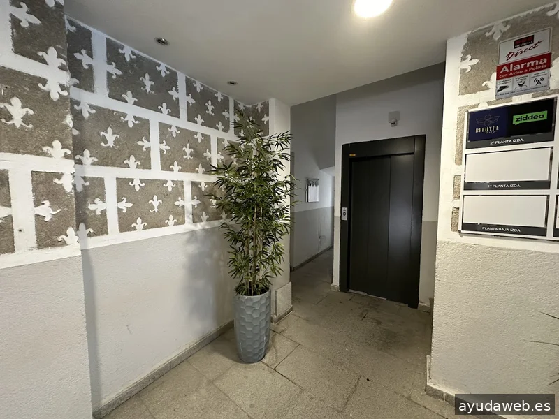 Ziddea (Diseño de páginas web, tiendas online y aplicaciones móviles)