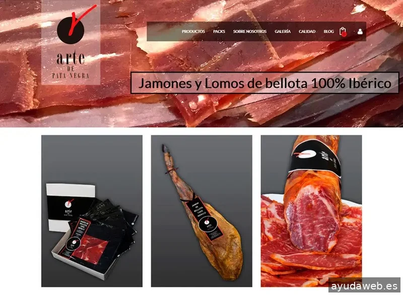 Ziddea (Diseño de páginas web, tiendas online y aplicaciones móviles)