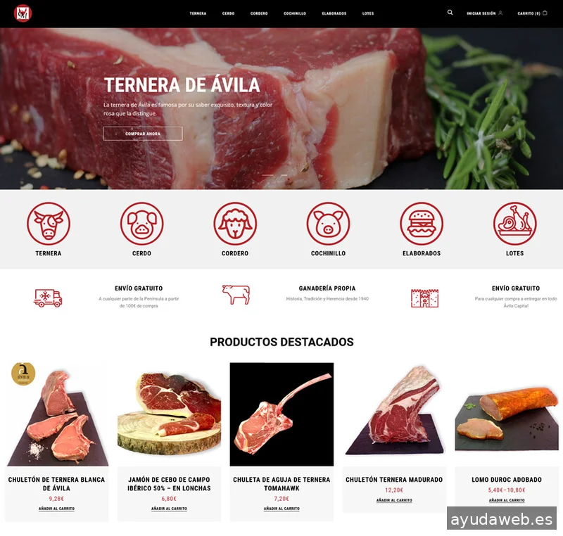 Ziddea (Diseño de páginas web, tiendas online y aplicaciones móviles)