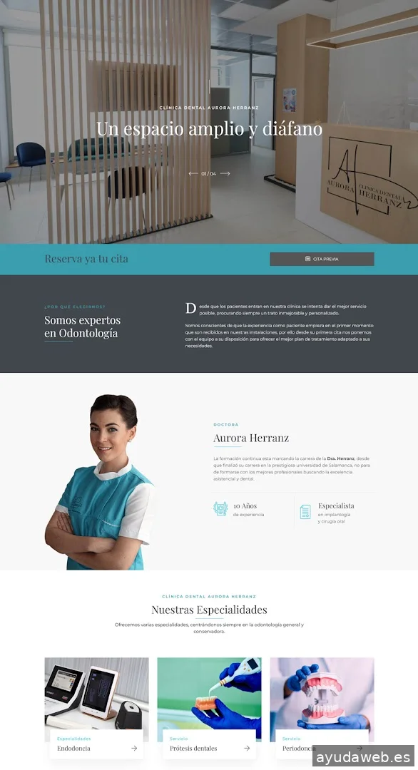 Ziddea (Diseño de páginas web, tiendas online y aplicaciones móviles)