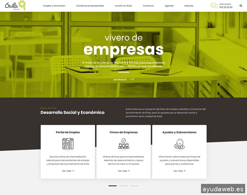 Ziddea (Diseño de páginas web, tiendas online y aplicaciones móviles)