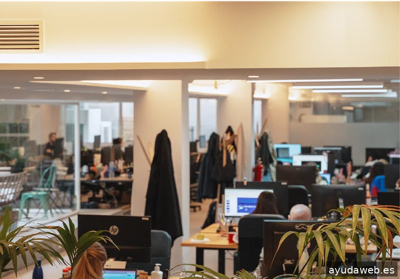 Jirada Agencia digital