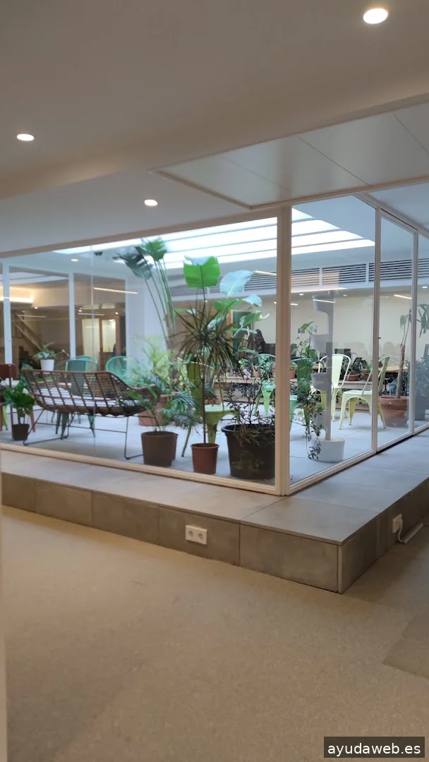 Jirada Agencia digital