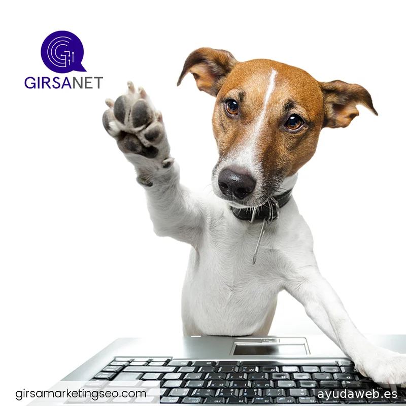 Girsanet