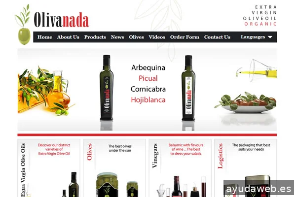 Cyber Creative Web Design Marbella