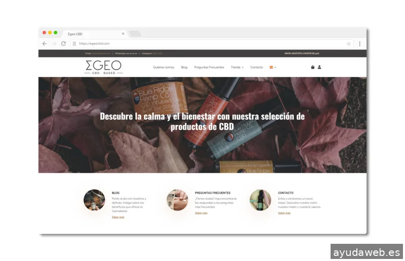 El estudio de Coco