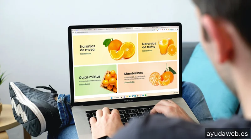 Dusnic, Agencia Diseño de Tiendas Online - Diseño Web - SEO & SEM