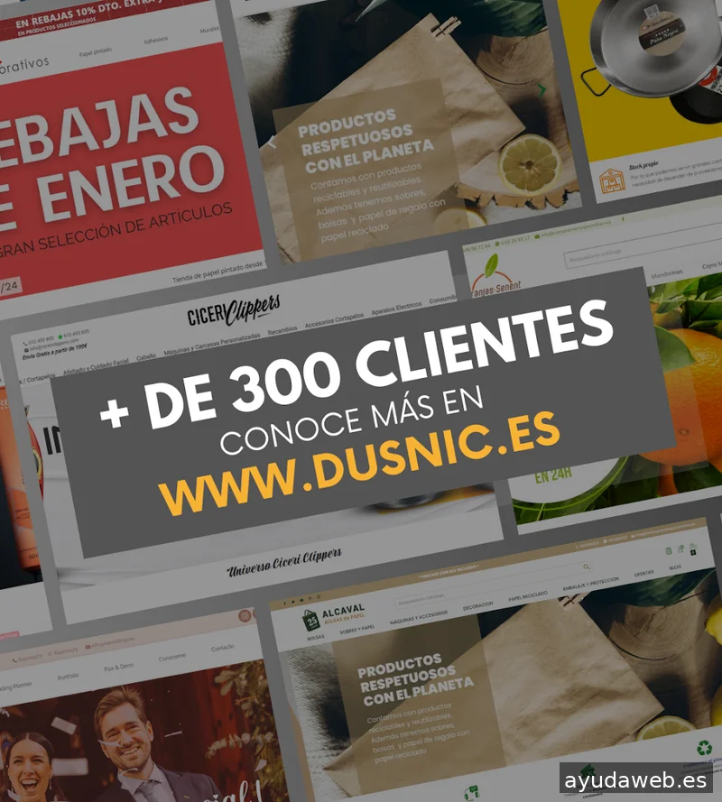 Dusnic, Agencia Diseño de Tiendas Online - Diseño Web - SEO & SEM