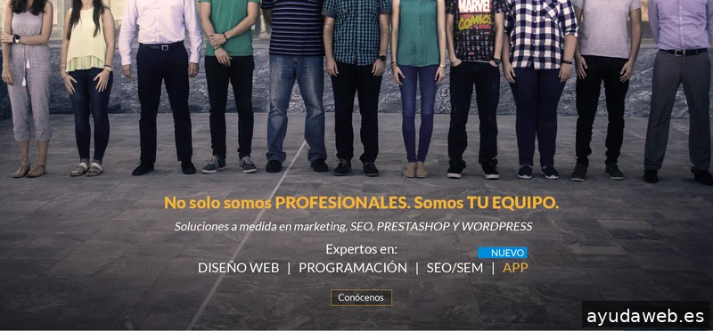 Dusnic, Agencia Diseño de Tiendas Online - Diseño Web - SEO & SEM