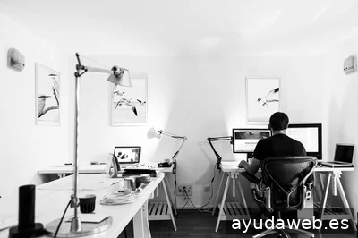 Rara Avis Estudio Gráfico | Diseño gráfico, Páginas web y Comunicación