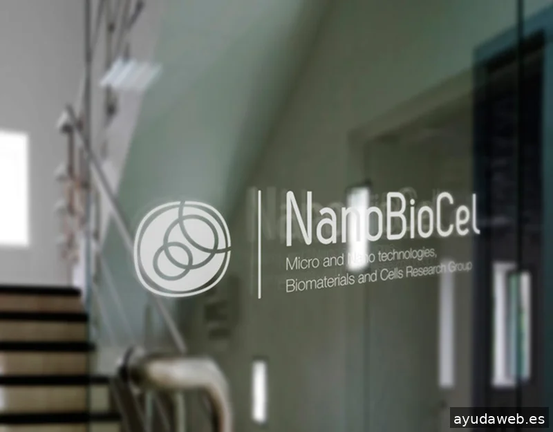 Rara Avis Estudio Gráfico | Diseño gráfico, Páginas web y Comunicación