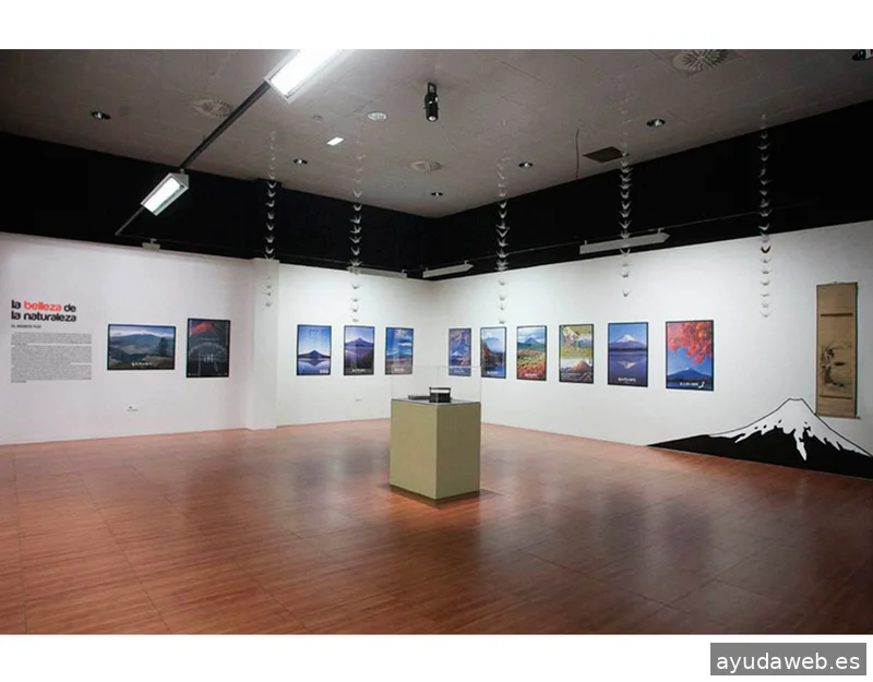 Rara Avis Estudio Gráfico | Diseño gráfico, Páginas web y Comunicación