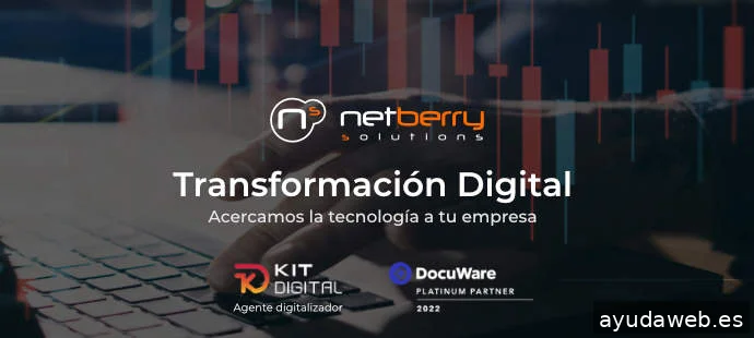 Netberry Solutions Albacete