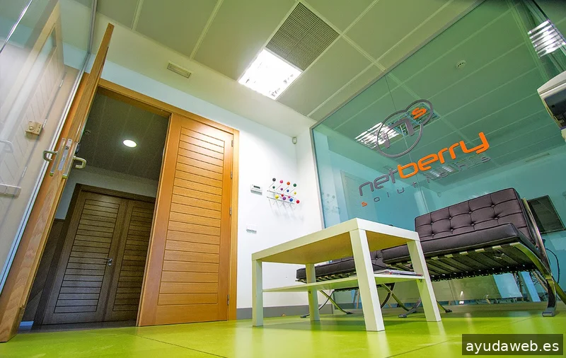 Netberry Solutions Albacete