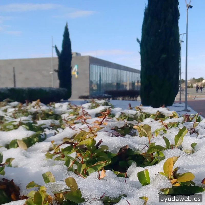 Netberry Solutions Albacete