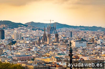 Pimienta Digital Agency